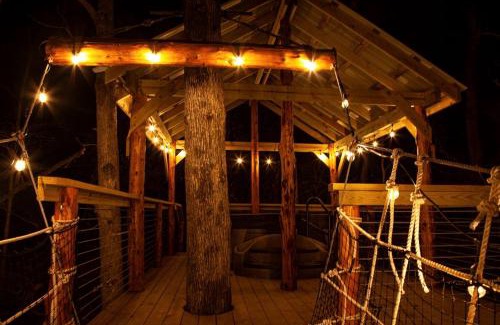 Equality House | Fantastic Treehouse with Fire Pit and Hot-tub in Herod, Illinois
