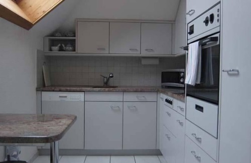 Kastanienbaum Apartment | Fantastic view of Lake Lucerne