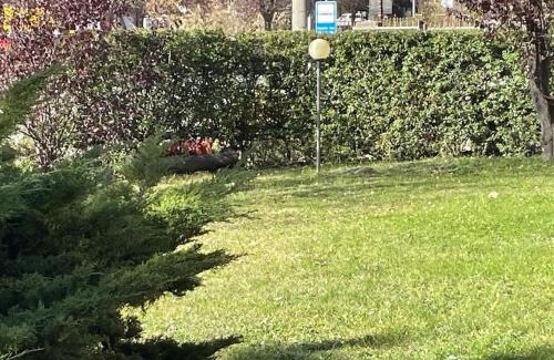 Bardonecchia Apartment | Fantastica Bardo