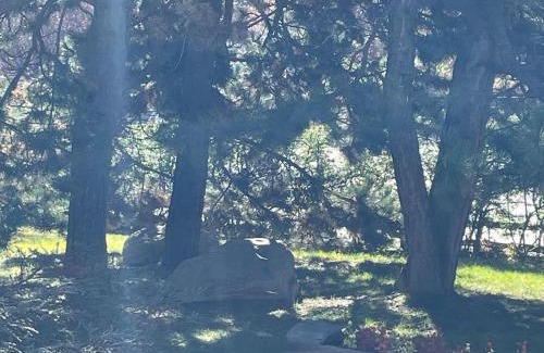 Bardonecchia Apartment | Fantastica Bardo