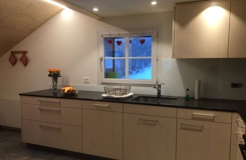 Oberaegeri Apartment | Farm in the Ägerital