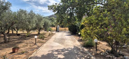 Paiania Apartment | FarmHouse near Airport