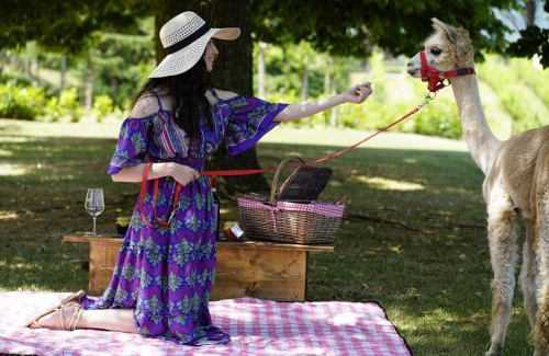 Bucine House | Fattoria Casabianca