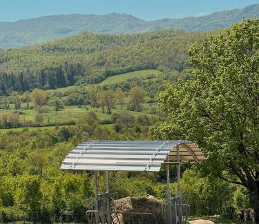 Pozzaglia Sabina House | Fattoria del Borgo in Sabina