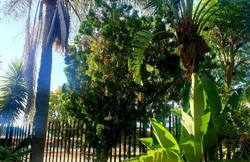 Porterville Bed & Breakfast | Feather Feet