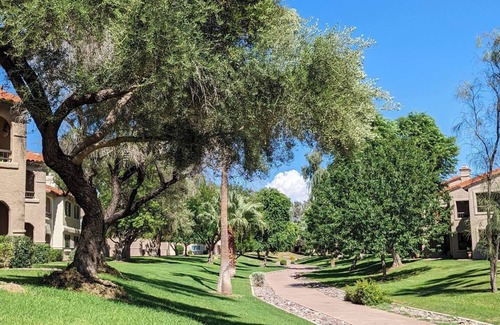 Central Scottsdale Condo | February in the desert. Charming 1-bedroom condo in delightful Scottsdale