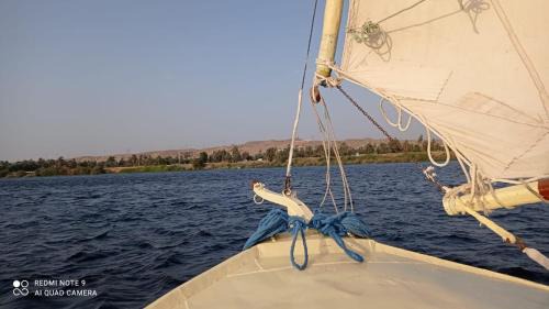 Aswan Boat Rental | felouque avec toilettes