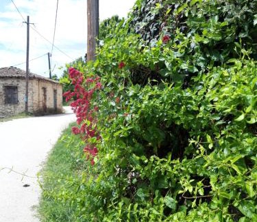 Feneos Apartment | Feneos apartment