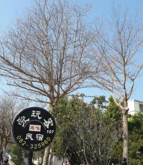 Jinning Bed & Breakfast | Fengming B&B