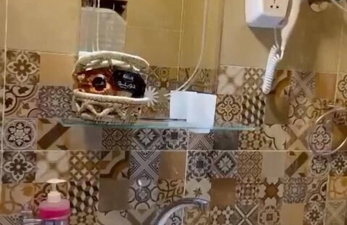 Aswan Hotel | Fenti Nubian Resort