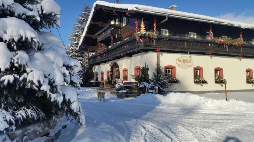 Saalfelden am Steinernen Meer House | Ferienwohnung am Baby & Kinderbauerhof Stefflhof