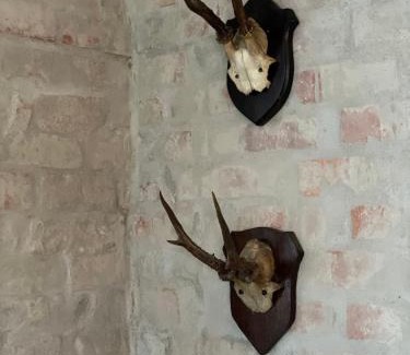 Stenstrup House | Feriehus i skøn natur