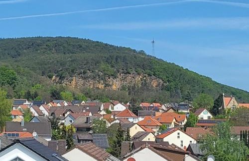 Neustadt-Gimmeldingen Apartment | Ferienwohnung Buenavista