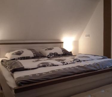 Pouch Apartment | Ferienapartment-Monteurwohnung-Muldestausee
