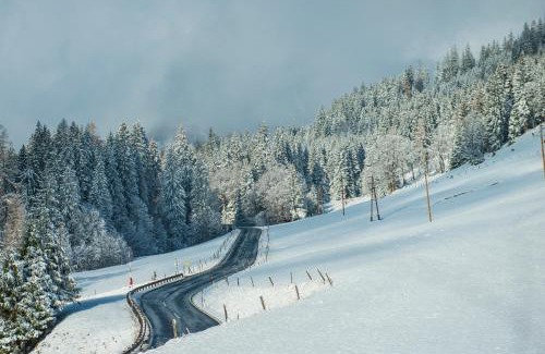 Muehlbach Am Hochkoenig House | Ferienbauernhof Elmaugut