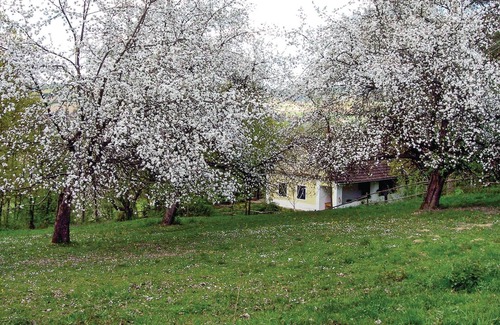 Gerersdorf bei Gussing House | Ferienhaus Gerersdorf/Güssing