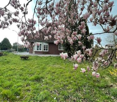 Butjadingen House | Ferienhaus Butjadingen - Haus Ruhwarden
