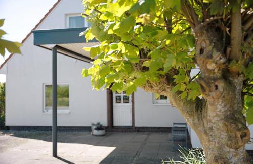 Wesselburenerkoog Apartment | Ferienhaus Deich Auf