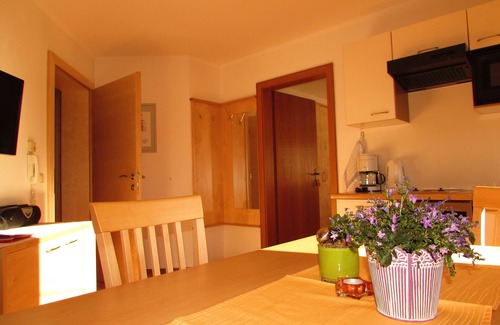 Flachau Hotel | Ferienhaus Eva