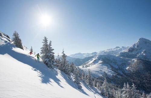 Kleinarl House | Ferienhaus Kleinarl