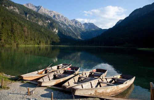 Kleinarl House | Ferienhaus Kleinarl