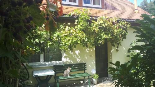 Hohnstein House | Ferienhaus Puttrich