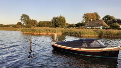 Winnemark House | Ferienhaus Waldidyll - Erholung zwischen Schlei und Ostsee