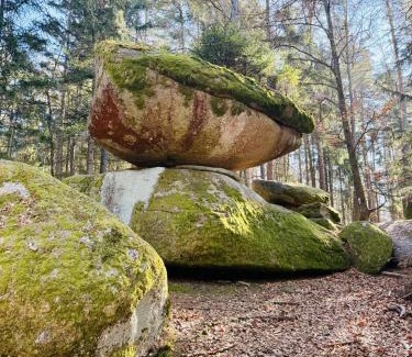 Schofweg Apartment | Ferienland Sonnenwald Fewo 46 und Studio 50 in Schöfweg Bayerischer Wald