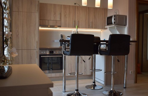 Altastenberg Apartment | Ferienwohnung 50qm mit Großem Balkon