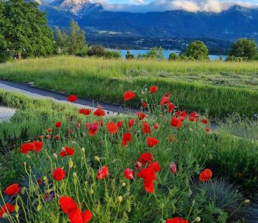 Drobollach am Faakersee Apartment | Ferienwohnungen Made for better days MONFREDA
