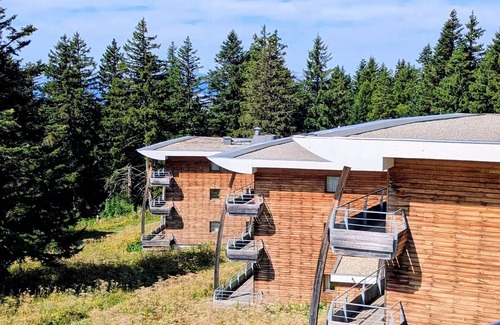 Chamrousse Apartment | Ferienwohnung 3 Zimmer 8/10 Personen In der Nähe von Pistes