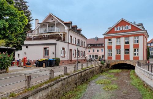 Muellheim Apartment | Ferienwohnung Alte Münz