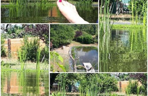 Lachendorf Apartment | Ferienwohnung am Schwimmteich 2