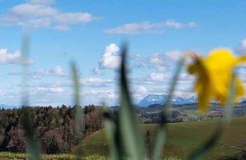 Rohrbachgraben Apartment | Ferienwohnung/app. für 4 Gäste mit 75m² in Rohrbachgraben
