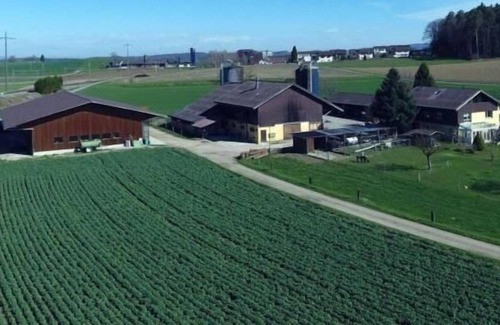 Dinhard Apartment | Ferienwohnung/app. für 5 Gäste mit 55m² in Dinhard