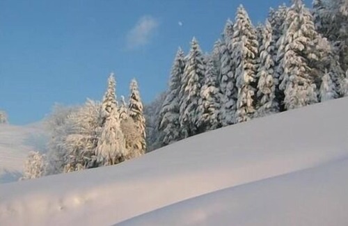 Hergiswil bei Willisau Apartment | Ferienwohnung/app. für 6 Gäste mit 89m² in Hergiswil