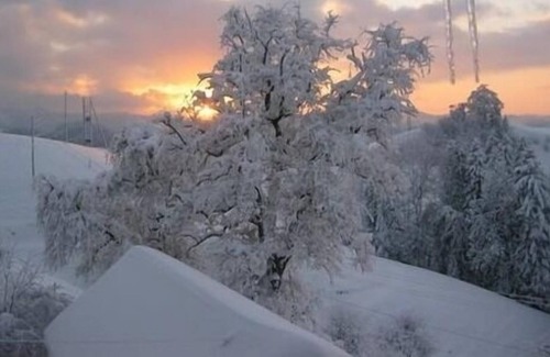 Hergiswil bei Willisau Apartment | Ferienwohnung/app. für 6 Gäste mit 89m² in Hergiswil