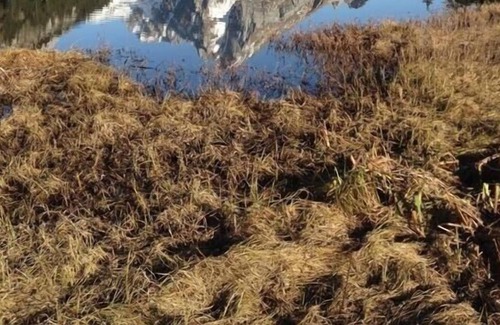 Wildhaus-Alt St. Johann Apartment | Ferienwohnung/app. für 2 Gäste mit 70m² in Unterwasser