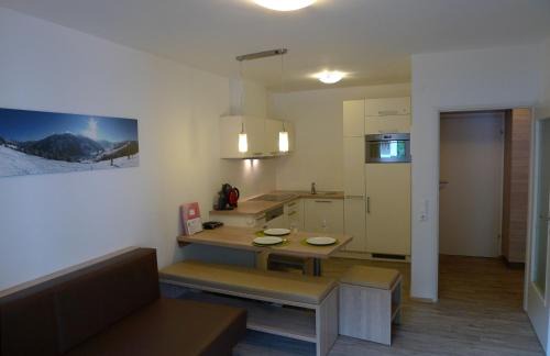 Saalbach-Hinterglemm Apartment | Ferienwohnung Loitfelder-Pang