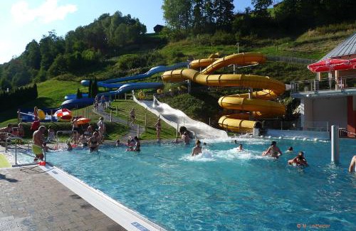 Saalbach-Hinterglemm Apartment | Ferienwohnung Loitfelder-Pang