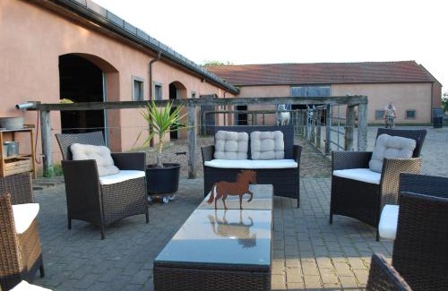 Dreetz Apartment | Ferienwohnung auf Pferdehof
