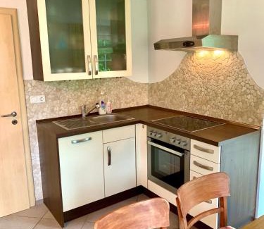 Zachenberg Apartment | Ferienwohnung Bielmeier