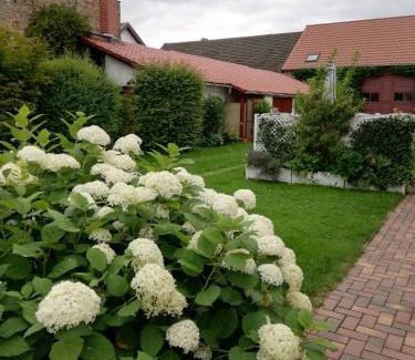 Markische Heide Apartment | Ferienwohnung Blick zu den Sternen