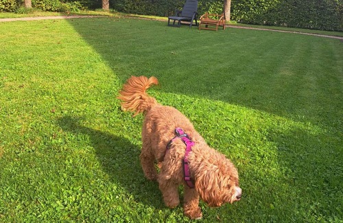 Schmallenberg Apartment | Ferienwohnung Blumenau, 90 qm, 2 Schlafzimmer, Max. 4 Personen