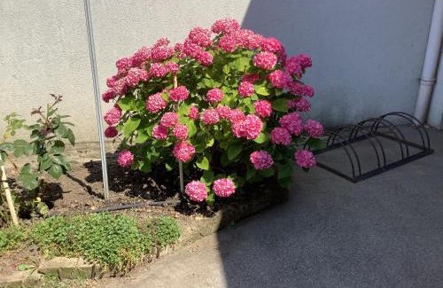 Pamhagen Apartment | Ferienwohnung Casa Flora