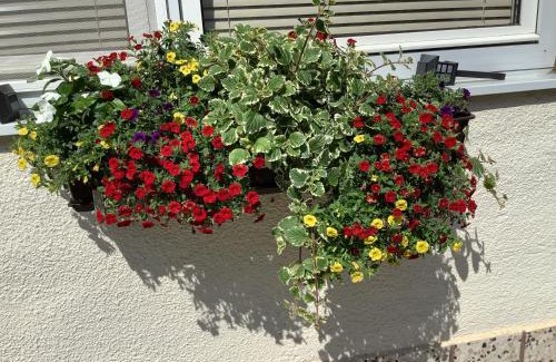 Pamhagen Apartment | Ferienwohnung Casa Flora