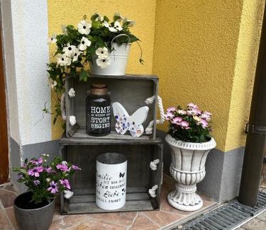 Liebenfels Apartment | Ferienwohnung Dürnberger