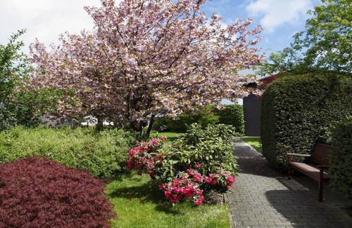 Usseln Apartment | Ferienwohnung Upland 3