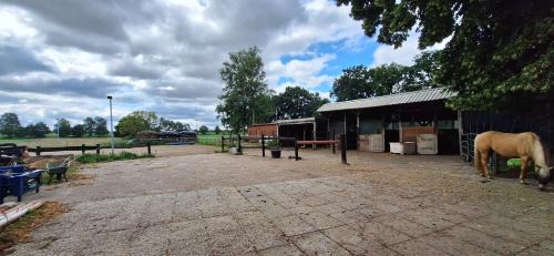Schwerinsdorf House | Ferienwohnung Eulennest, 35230