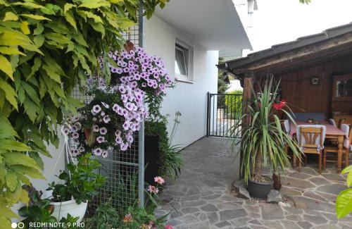 Vaihingen an der Enz Apartment | Ferienwohnung Gartenblick